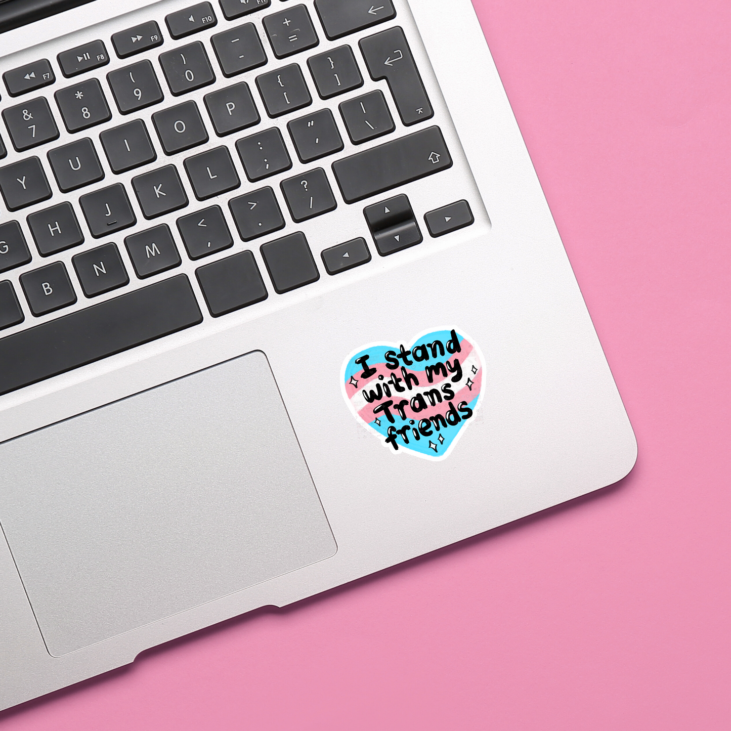 I Stand With My Trans Friends - Sticker